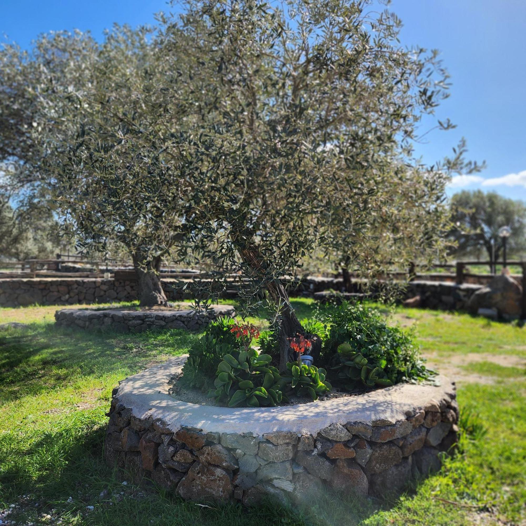 Iloghe Di Marras Otel Loculi Dış mekan fotoğraf